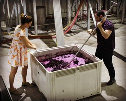 Stirring grape juice