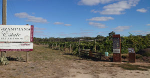 Vineyard and Grampians Cellar Door Sign