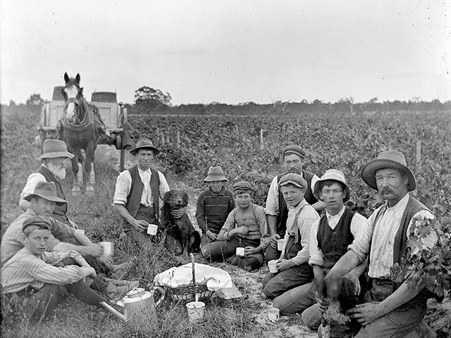 This image depicts Best's Vineyard Workers breaking for lunch C19th