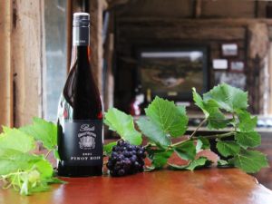 Best's Wines 2021 Pinot Noir