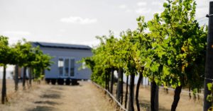 Hounds Run Vineyard Tiny House