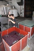 Stirring Grapes