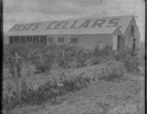 Best's Cellar Roof Historical Photo