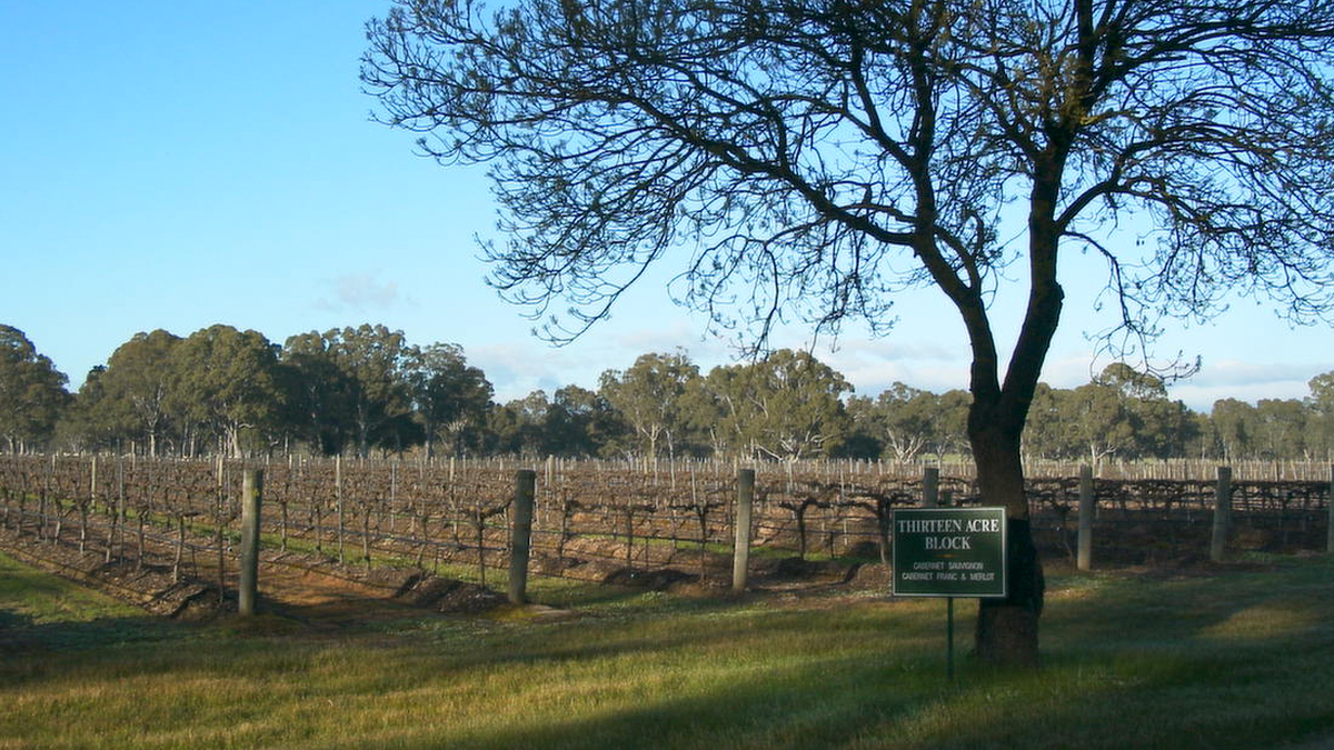 13 Acre Block Vineyard
