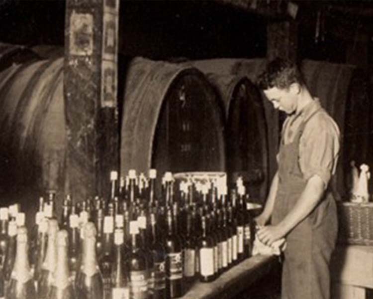 Young Thomson boy looking at bottles of wine