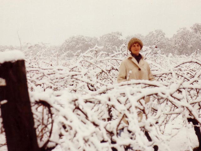 Chris Thomson in vines with snow.