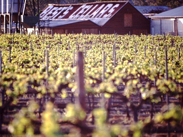 Image of Best's Cellars 1983