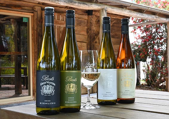 Riesling Tasting Experience