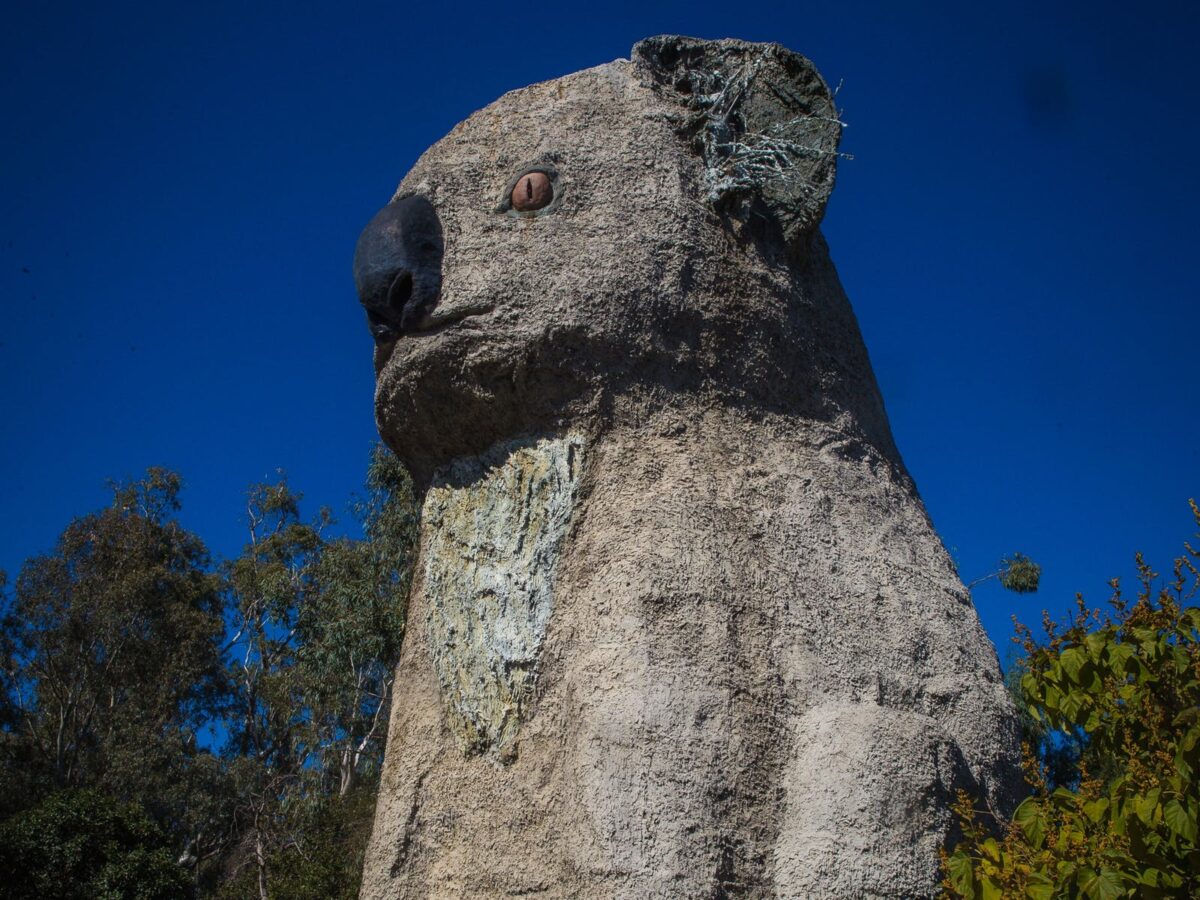 Silo Art and Art Gallery tour - Bests Wines | Grampians Winery | Great ...