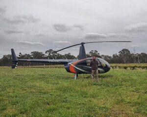 Grampians Helicopters landed in between the vines at Best's Great Western