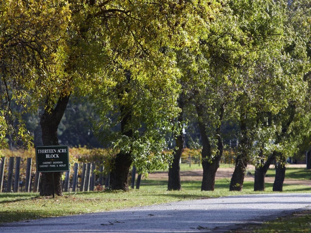 Image of Best's Wines entry driveway and 13 Acre block sign