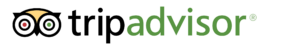 Trip Advisor Logo