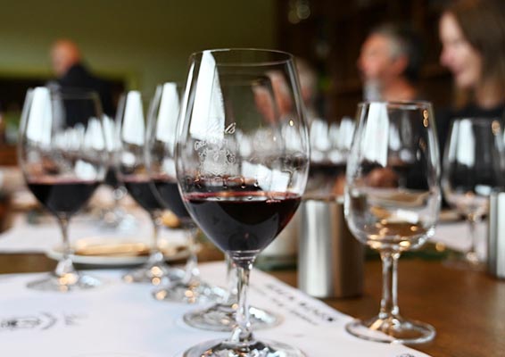 Back_Vintage_Tasting_Experience