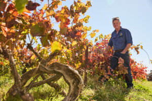 Ben Thomson in the old 1868 grapevines at Best's Wines